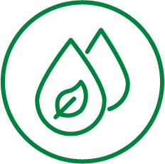 planta aceitera