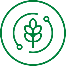 agronomia