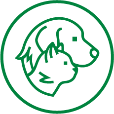 mascotas